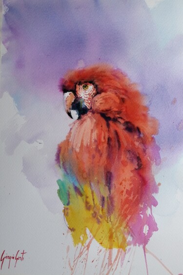 Painting titled "parrot 2" by Giorgio Gosti, Original Artwork, Watercolor