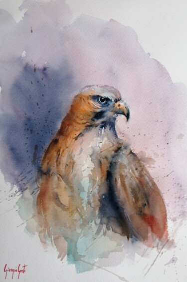 Painting titled "eagle 3" by Giorgio Gosti, Original Artwork, Watercolor