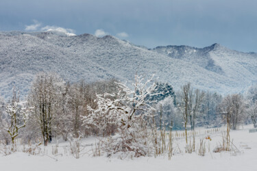 Photography titled "Winter in the Intel…" by Giovanni Appiani, Original Artwork, Digital Photography