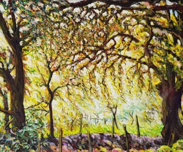Peinture intitulée "L'oliveraie depuis…" par Glaréole, Œuvre d'art originale, Acrylique