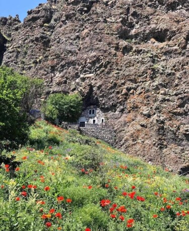 Фотография под названием "Spring" - Gohar Papikyan, Подлинное произведение искусства, Цифровая фотография