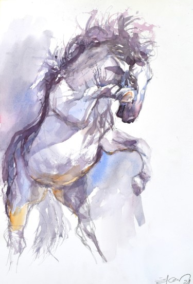 Pittura intitolato "Cheval Blanc (White…" da Goran Žigolić (watercolors), Opera d'arte originale, Acquarello