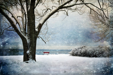 Photography titled "Stories from a Bench" by Randi Grace Nilsberg, Original Artwork, Digital Photography