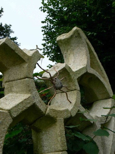 Scultura intitolato "ARAIGNÉE DANS SA TO…" da Venner Fanch, Opera d'arte originale, Pietra