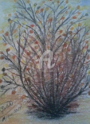 Dessin intitulée "TREE FOR LOVE..." par Grazianna G..., Œuvre d'art originale, Pastel