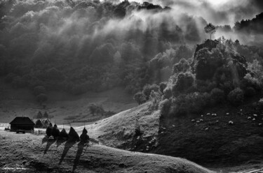 摄影 标题为“Morning Rays” 由Grigore Roibu, 原创艺术品, 数码摄影