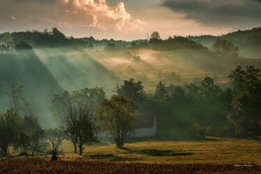 Fotografia intitolato "The morning light" da Grigore Roibu, Opera d'arte originale, Fotografia digitale