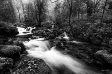 Photography titled "Fast Waters In The…" by Grigore Roibu, Original Artwork, Digital Photography