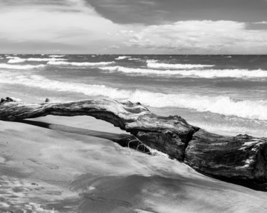 Photographie intitulée "Lakeshore Driftwood" par Gwendolyn Roth, Œuvre d'art originale, Photographie non manipulée