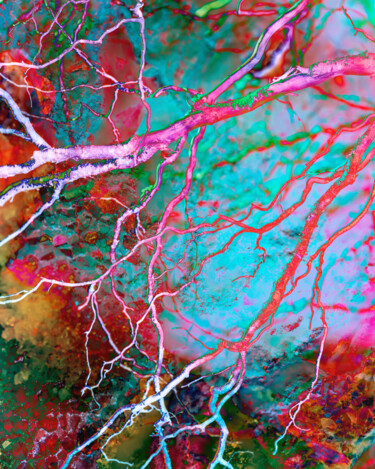 摄影 标题为“Color Pallet 2” 由Gwendolyn Roth, 原创艺术品, 数码摄影
