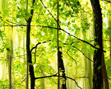 Fotografía titulada "Canopies" por Gwendolyn Roth, Obra de arte original, Fotografía digital