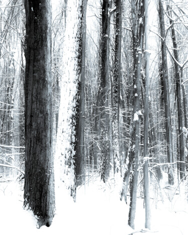 Fotografie getiteld "Winter Impressions" door Gwendolyn Roth, Origineel Kunstwerk, Digitale fotografie