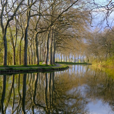 Photographie intitulée "Verts d'hiver" par Herve L (Achel), Œuvre d'art originale, Photographie numérique