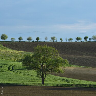 Photography titled "Ligne d'horizon" by Herve L (Achel), Original Artwork, Non Manipulated Photography