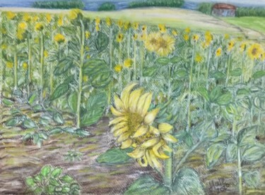 Drawing titled "sunflowers" by Hale Bilek, Original Artwork, Pastel