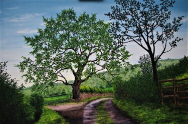 Schilderij getiteld "Mighty Summer Oak" door Hazel Thomson, Origineel Kunstwerk, Olie