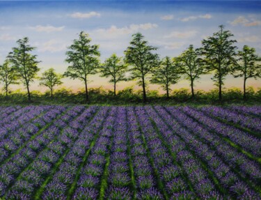 Painting titled "Lavender Feild at D…" by Hazel Thomson, Original Artwork, Oil Mounted on Wood Stretcher frame