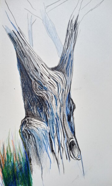 Disegno intitolato "Etude d arbre2" da Hel Swynghedauw, Opera d'arte originale, Matita