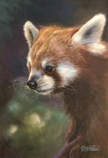 Painting titled "Panda roux" by Helen Barenton, Original Artwork, Pastel