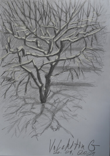 Tekening getiteld "The tree and the sh…" door Hennadii Volokitin, Origineel Kunstwerk, Potlood