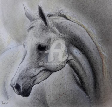 Drawing titled "Tête de cheval arab…" by Henri Ibara, Original Artwork, Gouache
