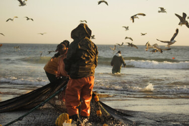 Fotografie getiteld "Sea Life" door Henrique Brito, Origineel Kunstwerk, Niet gemanipuleerde fotografie