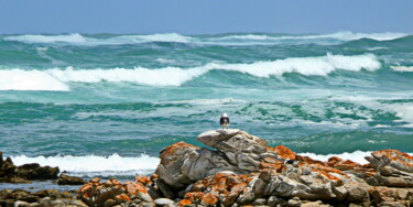 Fotografie mit dem Titel "Cape Agulhas mi Möwe" von Herbert Wiedergut (herb-art), Original-Kunstwerk, Digitale Fotografie