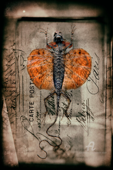 Fotografia intitolato "Reptil" da Hermann Mock, Opera d'arte originale, Fotografia digitale