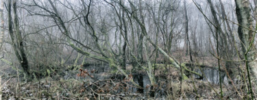 Фотография под названием "Wald" - Hermann Mock, Подлинное произведение искусства, Цифровая фотография