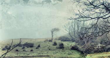 Фотография под названием "Wald2" - Hermann Mock, Подлинное произведение искусства, Цифровая фотография