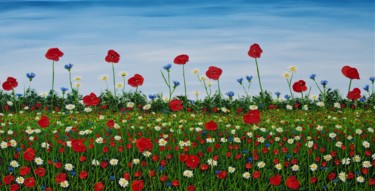 Malarstwo zatytułowany „Summer Meadow” autorstwa Hazel Thomson, Oryginalna praca, Olej Zamontowany na Drewniana rama noszy