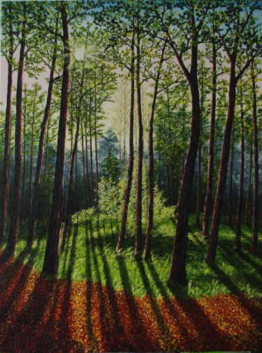 Картина под названием "Woodland Shadows" - Hazel Thomson, Подлинное произведение искусства, Масло Установлен на Деревянная р…