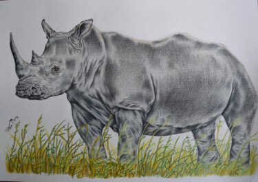 Disegno intitolato "white rhino" da Hiten Mistry, Opera d'arte originale, Altro