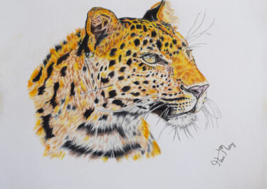 Рисунок под названием "leopard drawing" - Hiten Mistry, Подлинное произведение искусства, Другой