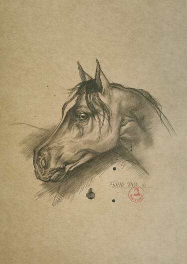 Desenho intitulada "Horse #22527" por Hongtao Huang, Obras de arte originais, Lápis