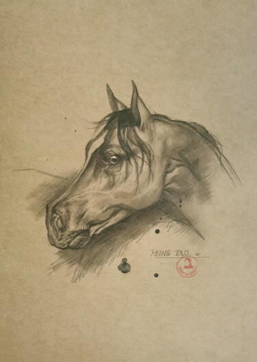 Tekening getiteld "Horse #22527" door Hongtao Huang, Origineel Kunstwerk, Potlood