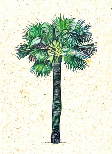 Digital Arts titled "Palm tree" by Hrdesign111, Original Artwork, Digital Painting