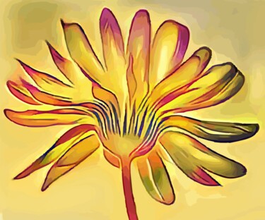 Digital Arts titled "Calendula" by Hrdesign111, Original Artwork, Digital Painting