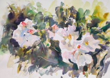 "White Wild Rose" başlıklı Tablo Ibolya Taligas tarafından, Orijinal sanat, Suluboya