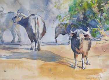 Painting titled "Buffalo Herd" by Ibolya Taligas, Original Artwork, Watercolor