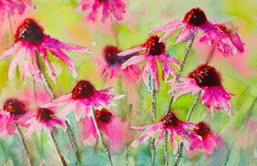 "Echinacea flowers" başlıklı Tablo Ibolya Taligas tarafından, Orijinal sanat, Suluboya