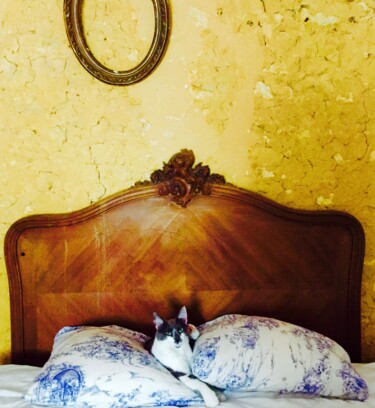 Photographie intitulée "Chat au lit" par Ida Arundo, Œuvre d'art originale, Photographie numérique