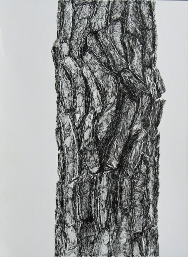 Dessin intitulée "ecorce-de-pin.jpg" par Isabelle Stagg, Œuvre d'art originale, Encre