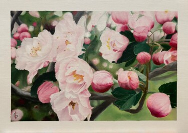 Painting titled "Apple blossoms" by Ieva Graudina (IGraudinaArt), Original Artwork, Oil