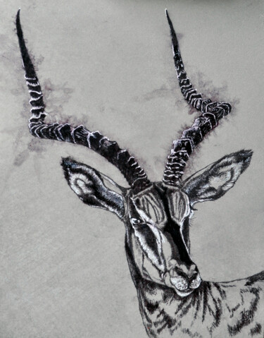 Painting titled "African antelope Im…" by Igor Kashchenko, Original Artwork, Ink