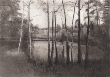 Рисунок под названием "Заросший пруд" - Игорь Машин, Подлинное произведение искусства, Чернила