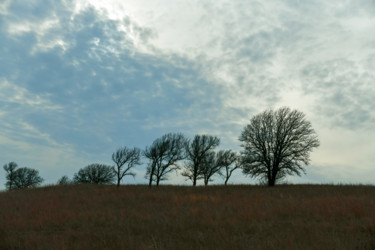 Photographie intitulée "Plains" par Igzotic, Œuvre d'art originale, Photographie numérique