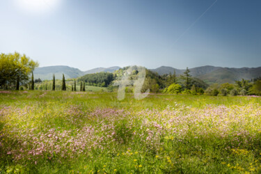 Photographie intitulée "Primavera Toscana" par Ilesh, Œuvre d'art originale, Photographie numérique