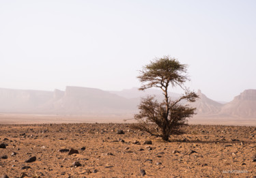 Photographie intitulée "MOROCCO LANDSCAPE" par Julia, Œuvre d'art originale