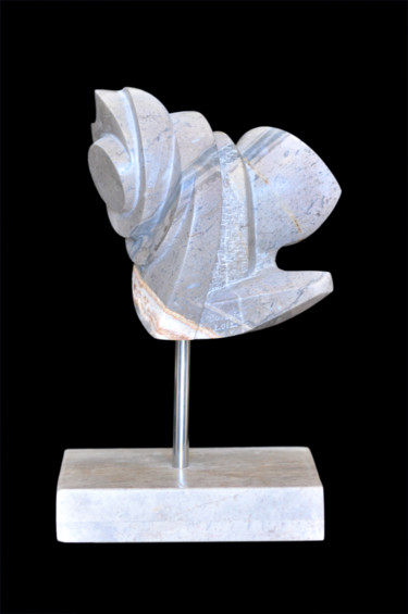 Sculpture intitulée "dsc-6422.jpg" par Ilhem Zz-Art, Œuvre d'art originale, Autre
